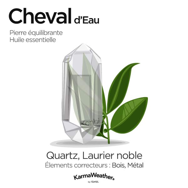 Cheval d'Eau: pierre équilibrante et huile essentielle