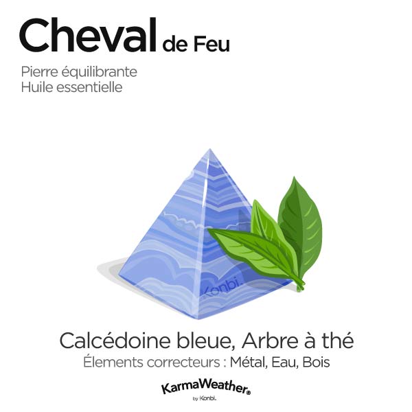 Cheval de Feu: pierre équilibrante et huile essentielle