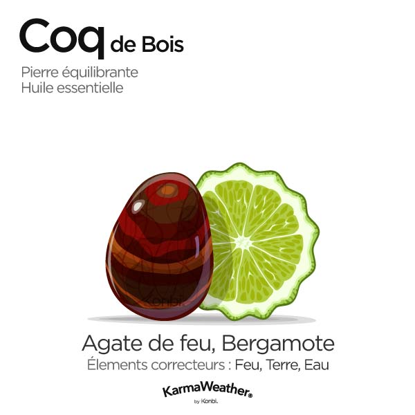 Coq de Bois: pierre équilibrante et huile essentielle
