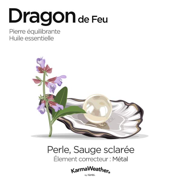 Dragon de Feu: pierre équilibrante et huile essentielle