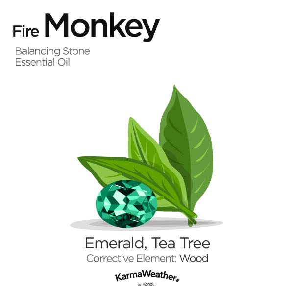 Year of the Fire Monkey's balancing stone and essential oil