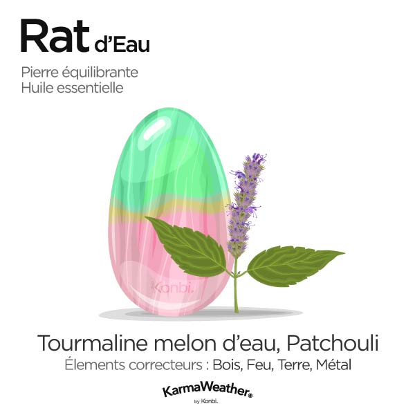 Rat d'Eau: pierre équilibrante et huile essentielle