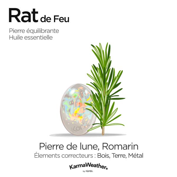 Rat de Feu: pierre équilibrante et huile essentielle