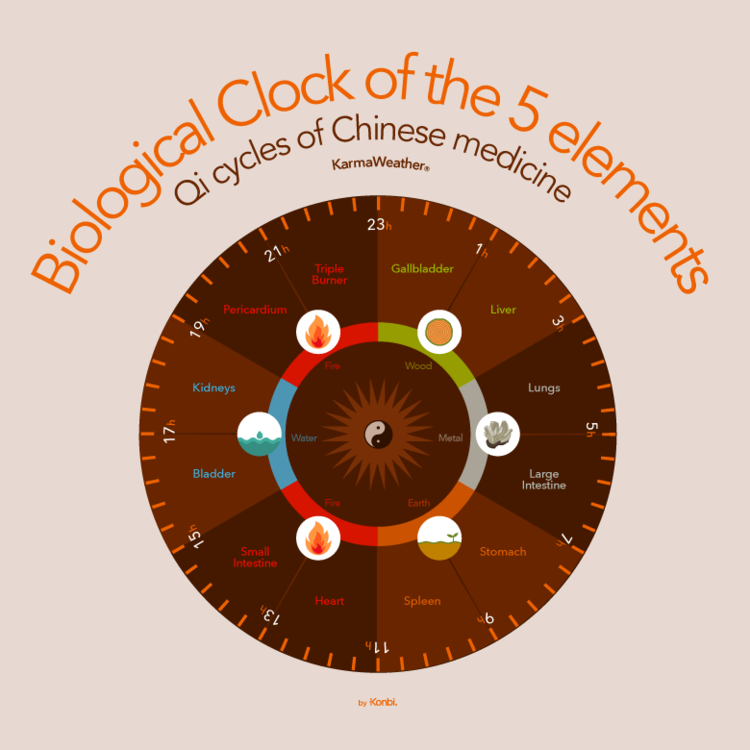 Biological clock of Chinese medicine