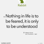 Marie Curie (Rabbit)