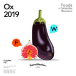 Ox 2019 food horoscope