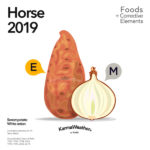 Horse 2019 food horoscope