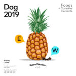 Dog 2019 food horoscope