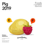 Pig 2019 food horoscope