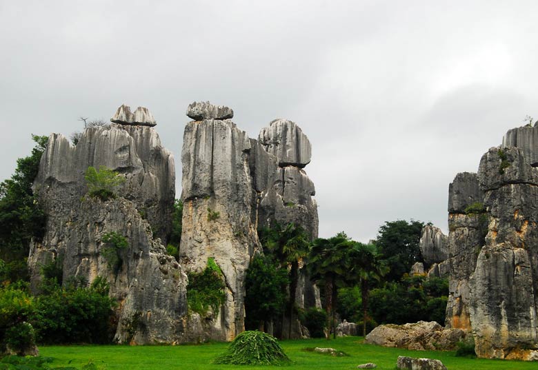 Stone Forest, China by Shizhao