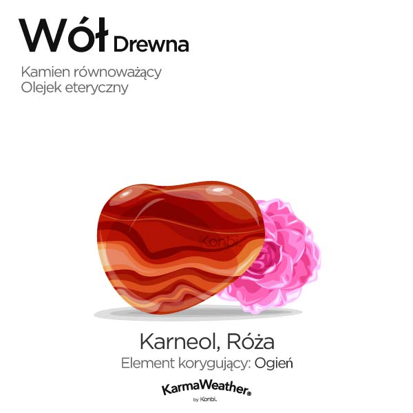 Wół Drewna: kamień równoważący i olejek eteryczny