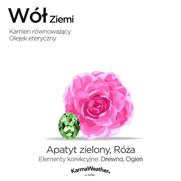 Wół Ziemi: kamień równoważący i olejek eteryczny