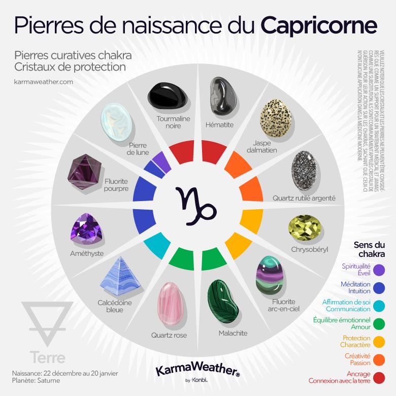 Infographie des pierres de naissance du Capricorne