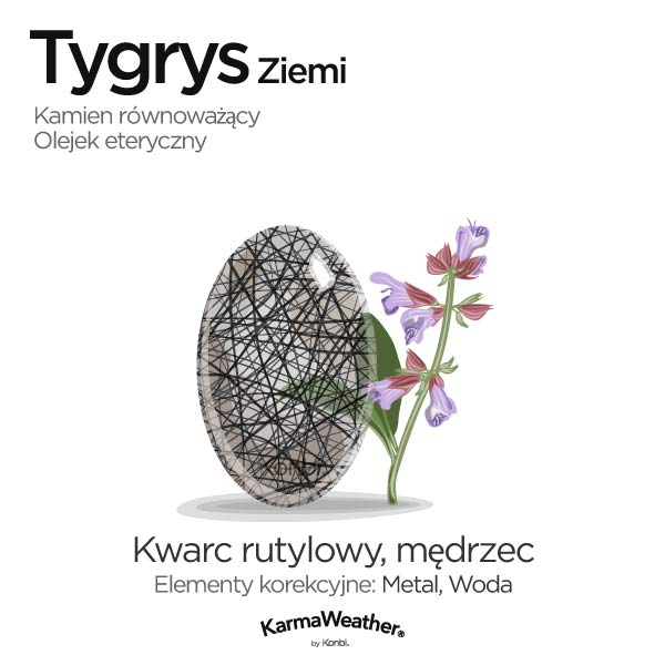 Tygrys Ziemi: kamień równoważący i olejek eteryczny