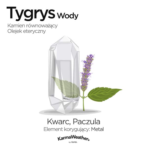 Tygrys Wody: kamień równoważący i olejek eteryczny