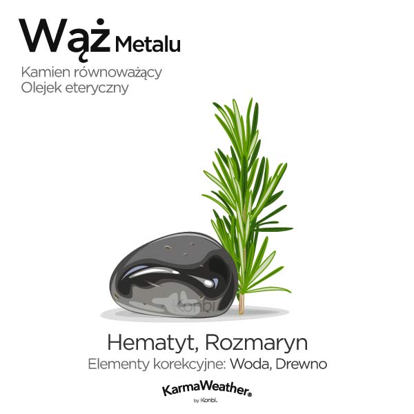 Wąż Metalu: kamień równoważący i olejek eteryczny