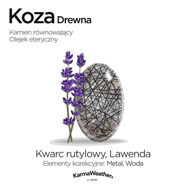 Koza Drewna: kamień równoważący i olejek eteryczny