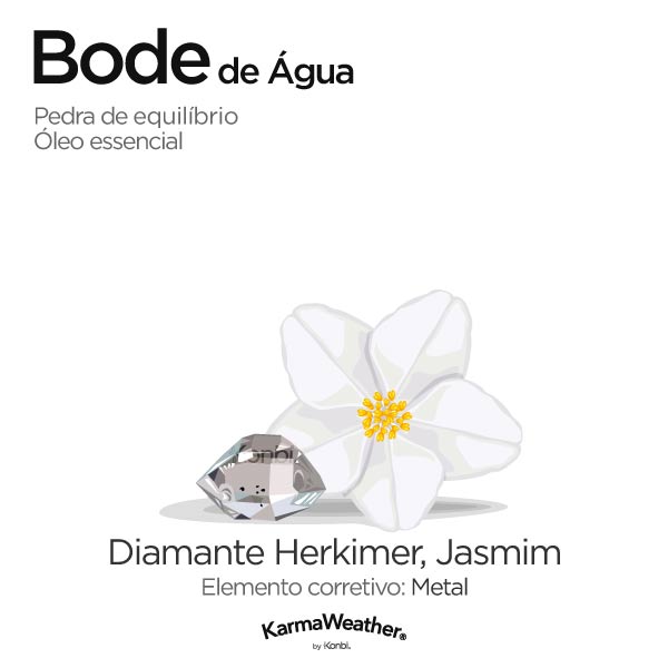 Bode de Água: pedra de equilíbrio e óleo essencial