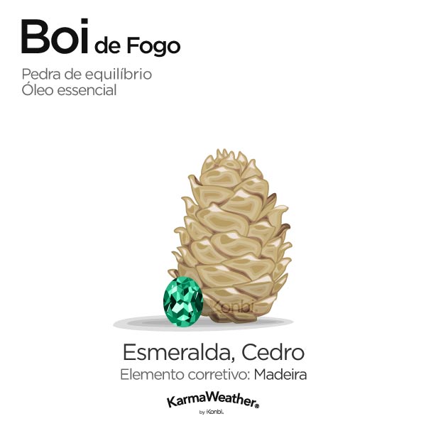 Boi de Fogo: pedra de equilíbrio e óleo essencial