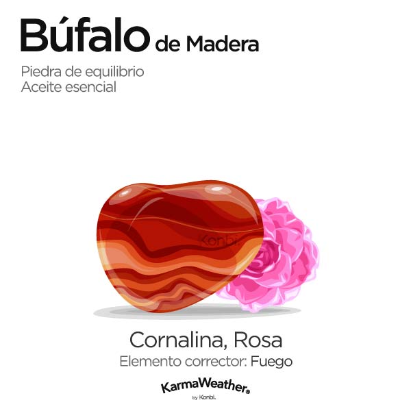 Búfalo de Madera: piedra de equilibrio y aceite esencial