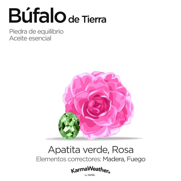 Búfalo de Tierra: piedra de equilibrio y aceite esencial