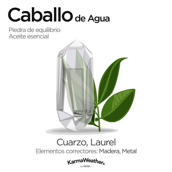 Caballo de Agua: piedra de equilibrio y aceite esencial