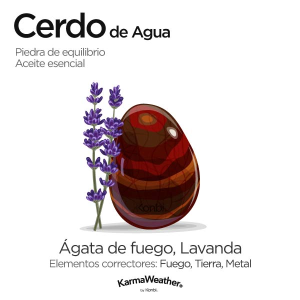 Cerdo de Agua: piedra de equilibrio y aceite esencial