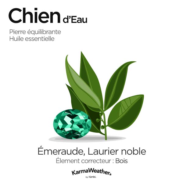 Chien d'Eau: pierre équilibrante et huile essentielle