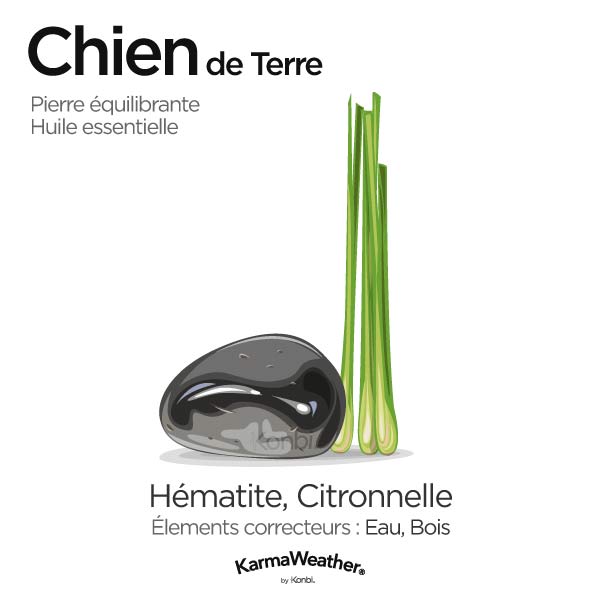 Chien de Terre: pierre équilibrante et huile essentielle