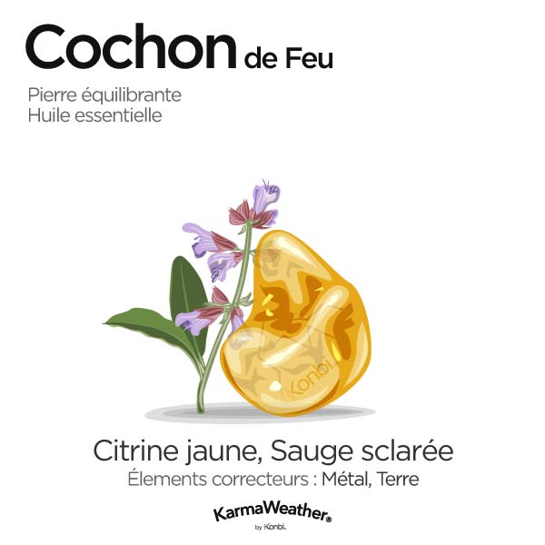 Cochon de Feu: pierre équilibrante et huile essentielle