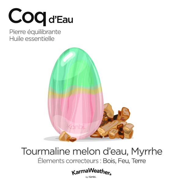 Coq d'Eau: pierre équilibrante et huile essentielle