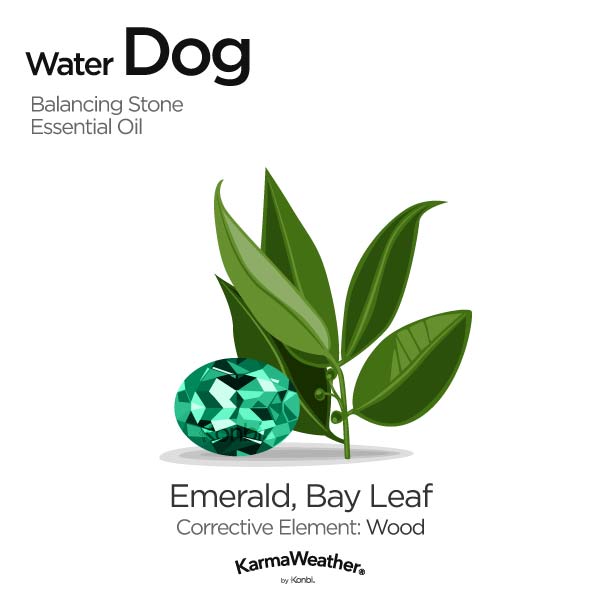 Année de la pierre d'équilibre et de l'huile essentielle du Chien d'eau's balancing stone and essential oil