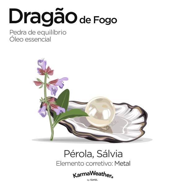 Dragão de Fogo: pedra de equilíbrio e óleo essencial