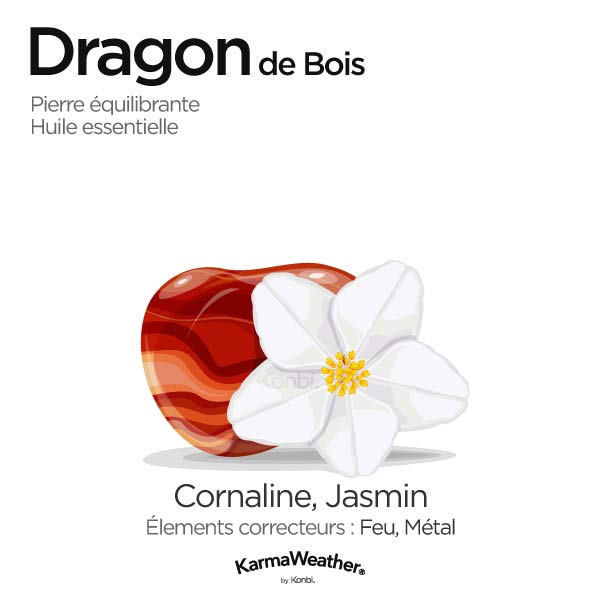 Dragon de Bois: pierre équilibrante et huile essentielle