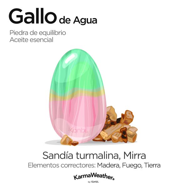 Gallo de Agua: piedra de equilibrio y aceite esencial