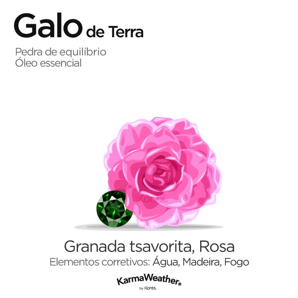 Galo de Terra: pedra de equilíbrio e óleo essencial