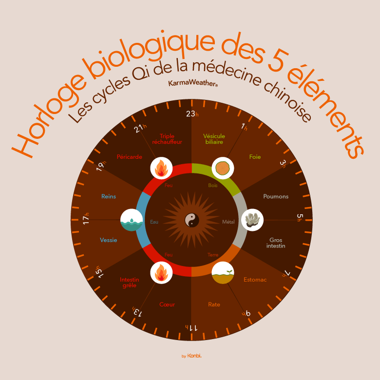 Horloge biologique de la médecine chinoise