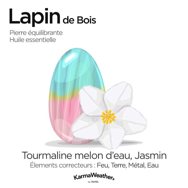 Lapin de Bois: pierre équilibrante et huile essentielle