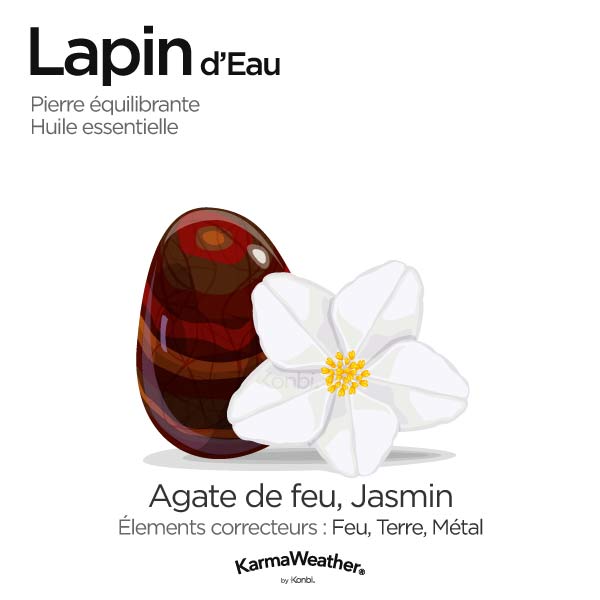 Lapin d'Eau: pierre équilibrante et huile essentielle