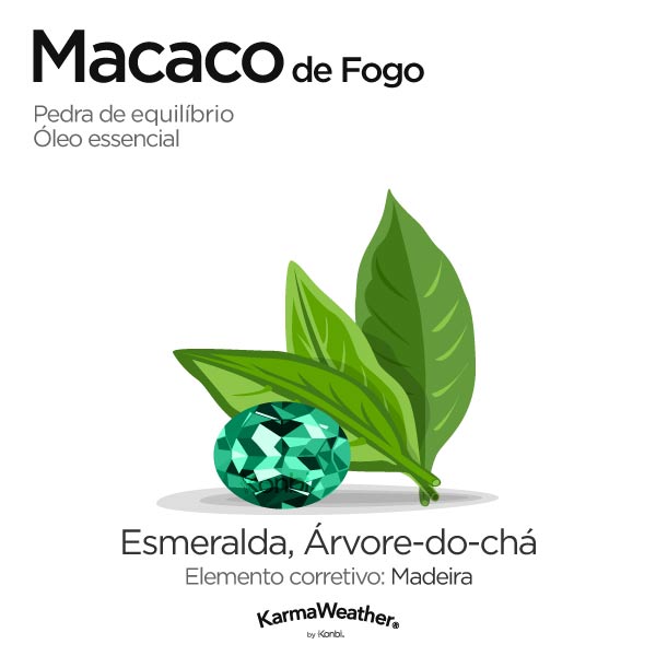 Macaco de Fogo: pedra de equilíbrio e óleo essencial