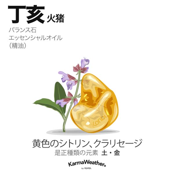 火猪(丁亥):バランス石、エッセンシャルオイル