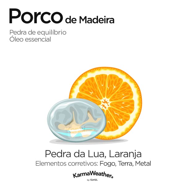 Porco de Madeira: pedra de equilíbrio e óleo essencial