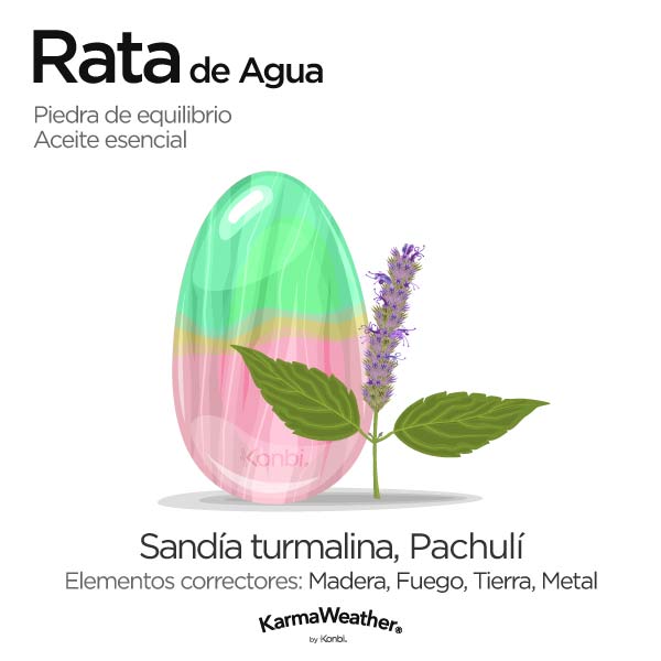 Rata de Agua: piedra de equilibrio y aceite esencial