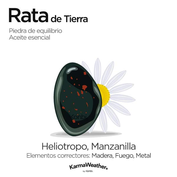 Rata de Tierra: piedra de equilibrio y aceite esencial