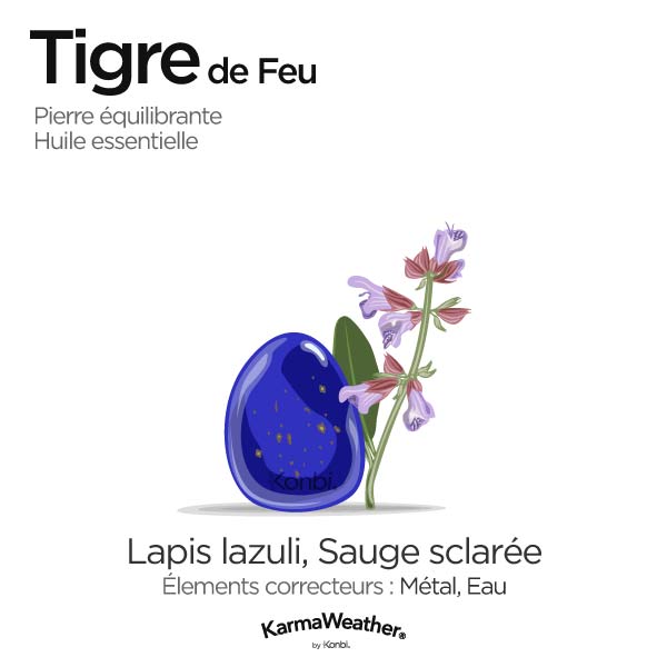 Tigre de Feu: pierre équilibrante et huile essentielle