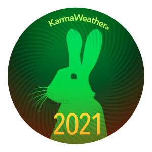 Królik 2021