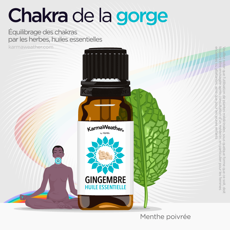 Équilibrage du chakra de la gorge avec des herbes et de l'huile essentielle