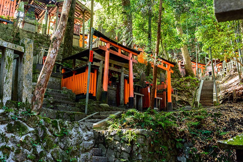 Forêt sacrée du sanctuaire Fushimi Inari, Kyoto, Japon, par dconvertini