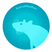 Rato (zodíaco chinês)