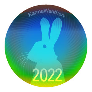 Królik 2022